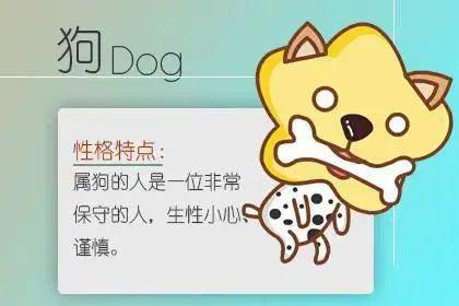 1. 属兔女 - 温柔刀，刀刀致命！