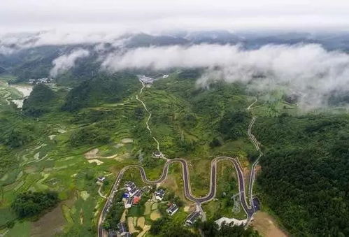 （二）景区的特色活动
