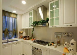 一、 厨房里常见的吉祥植物——让绿意冲破灶火的阴霾