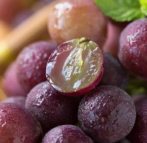 六、真实相：合肥花生比吐鲁番差？那是你没吃过 “时令限定”