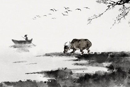风水大师2021娱乐圈,风水大师2024年属牛的全年运势