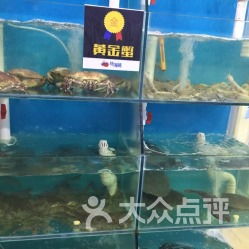 海洋风情， 尽在其中