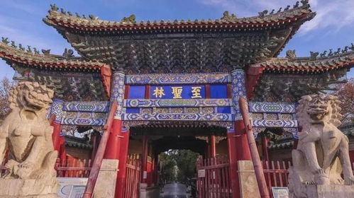 2026年最新优惠套餐大揭秘