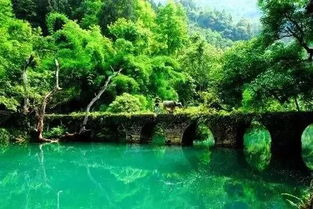 交通：折腾到怀疑人生