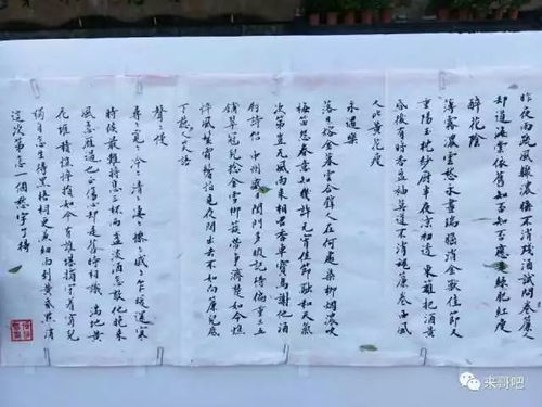 四、  音韵和谐：朗朗上口是美