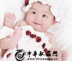 鲁姓龙宝宝取名技巧