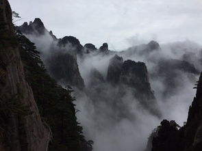 一、 前言：黄山，一场与自然的邂逅
