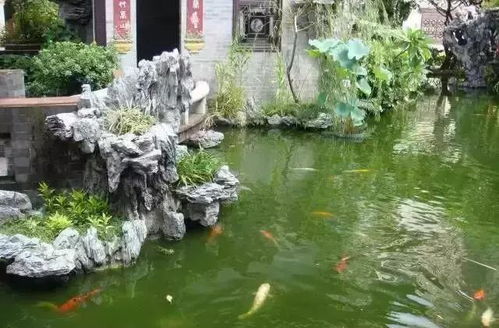 苏州园林：一场视觉和精神的……考验