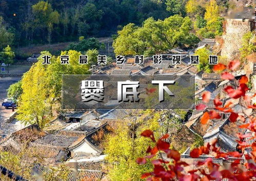 惯与吃的