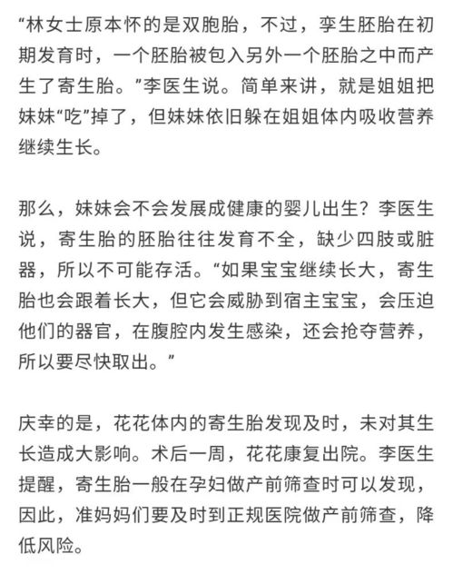 震惊！甲辰月居然藏着这些不为人知的秘密
