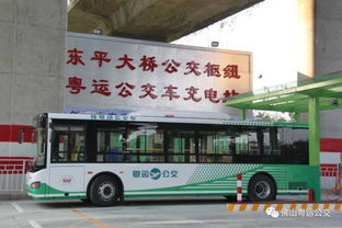 绿色出行， 低碳环保