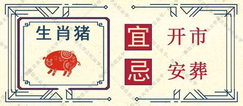 生肖猴：猴年马月不如今天