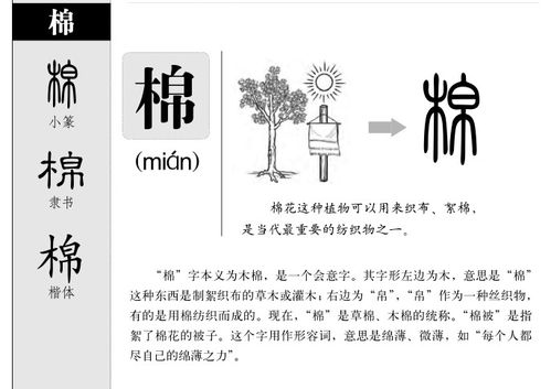 棉字打一生肖是哪个生肖呢？