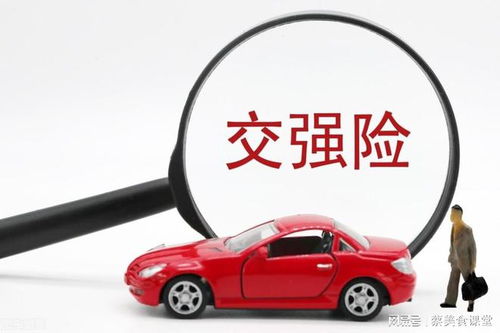 如何通过车辆信息查询神器判断车牌号吉凶？
