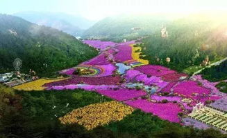 交通攻略：2026年新变化要牢记！