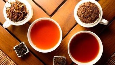 斯里兰卡红茶之旅，尼甘布茶厂探秘，地道风味体验在哪儿？