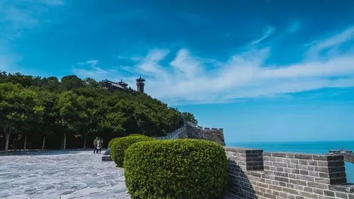 夏日炎炎何处去？烟台公园门票大起底！