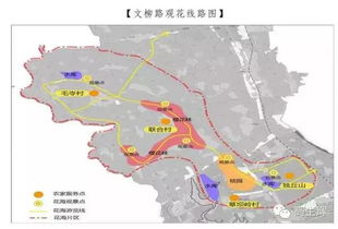 一、 那个让人摸不着头脑却又充满惊喜的开始
