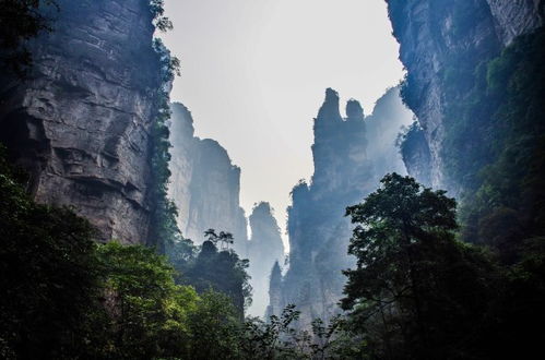 黄石寨：石林奇观