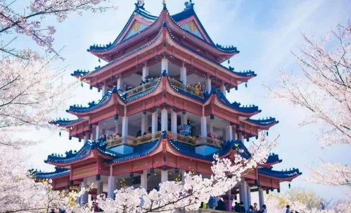 浅草寺：感受传统文化（顺便求个签）