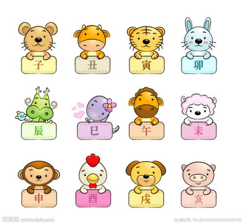 属虎和属鼠今日财运运势如何？