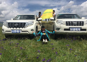 B. 随机北线&滇藏混搭版（玩全无厘头）