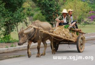 我梦见前妻出车祸是什么意思？周公解梦能告诉我吗？