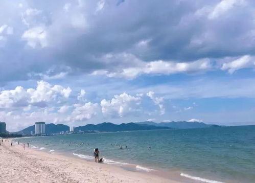海滨城市大比拼：哪个才是真正的