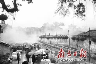 序章：别说我没提醒， 顺义的你要做好“草原防脱发”