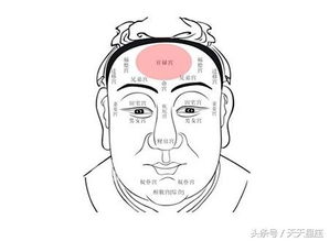 当代玄学迷惑行为大赏