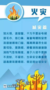 地震来了别慌！2026年最新家居防震秘籍大公开