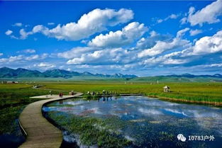 Day1：迷路是我们的宿命