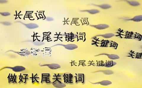 较长尾关键词挖掘技巧：利用垂直领域的搜索习惯