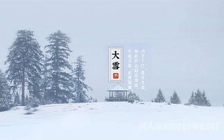 大雪节气与风水布局：如何在这个冬天转运？
