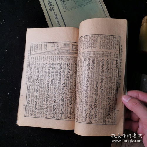 赖布衣风水故事完整版,赖布衣风水绝学全书