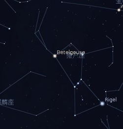 处女座太阳、上升、下降星座分别有哪些特点？