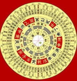 适合自由职业：不吃香菜也嫩活出花样
