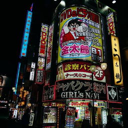 上野公园：动物园里的奇妙冒险