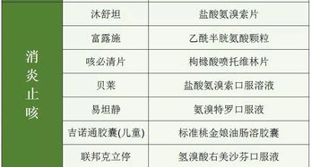 成人改名：探索专业有效的方法和策略