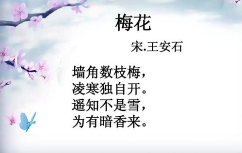 墙角数枝梅， 凌寒独自开的玄机