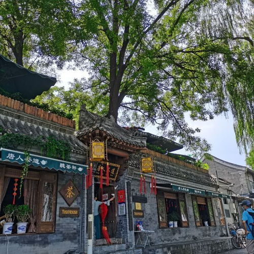 三、实用攻略——如何在春季玩转后海而不破产？