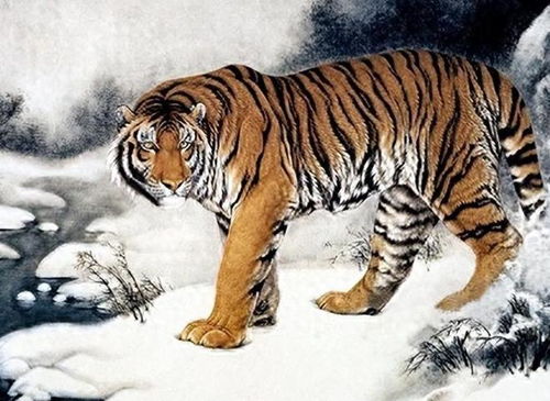 嗷呜！给虎宝宝起名这事儿，我来唠唠！