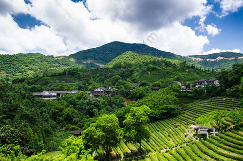 二、 山水田园——“云雾缭绕”之地