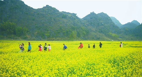 六-1、油菜花海——自拍神器！(乱入)