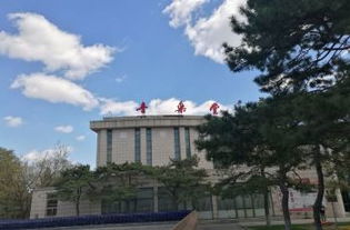一、 历史持续发展碎片与现场噪音（随手记）