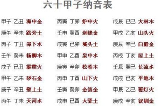 第四章：关于生肖与今后十年的预判 (纯属娱乐活动)