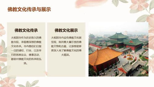 前言：这趟路走得有点儿魔幻