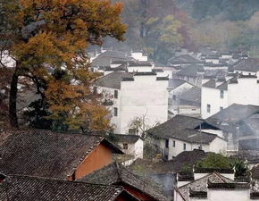 3. 石板路：历史的见证