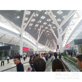 别再刷东莞厚街工厂招聘帖了 这地方的“野路子”游玩比打工还上瘾