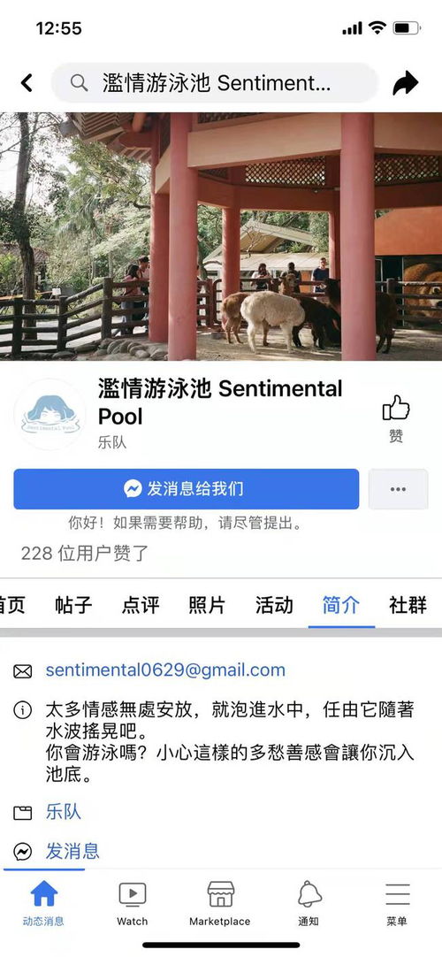想象力+浪漫=完美组合